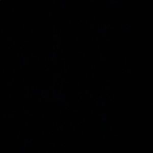 Meet your Posher, Patty